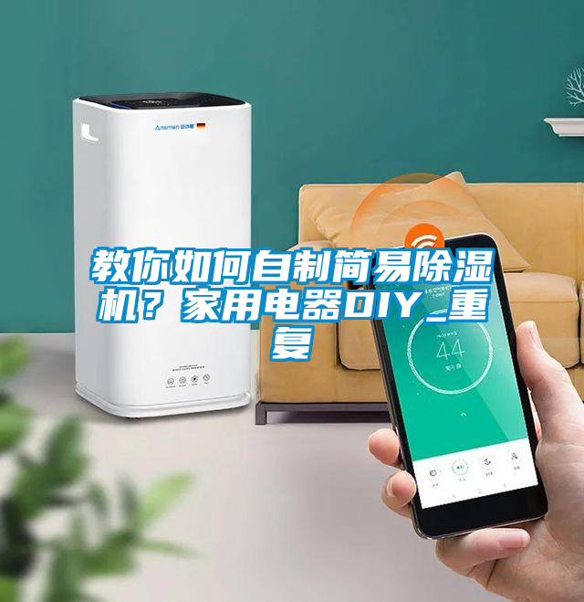 欧美黄色性爱视频网站 教你如何自制简易除湿机？家用电器DIY_重复