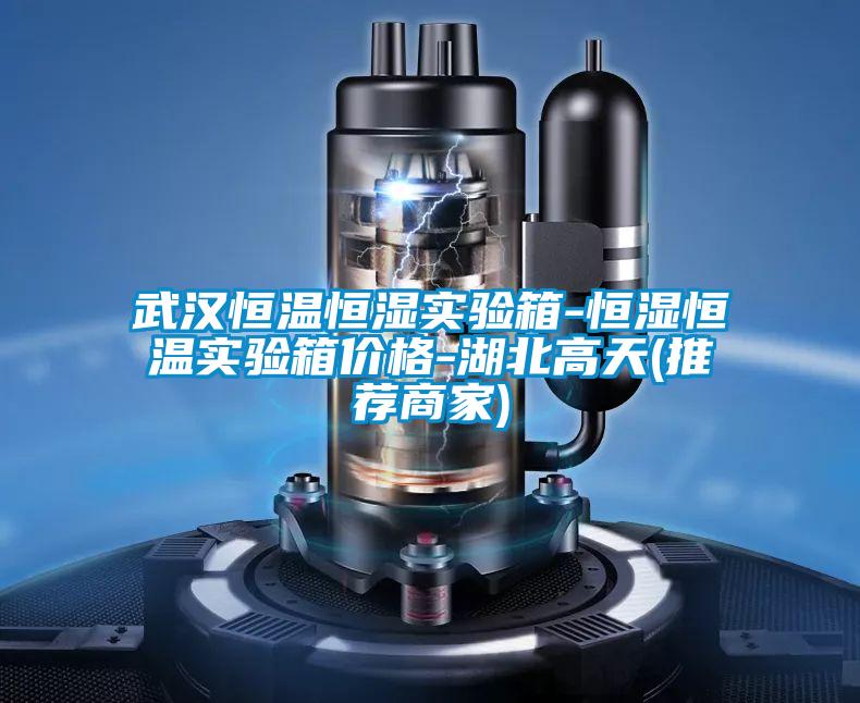 欧美黄色性爱视频网站 武汉恒温恒湿实验箱-恒湿恒温实验箱价格-湖北高天(推荐商家)