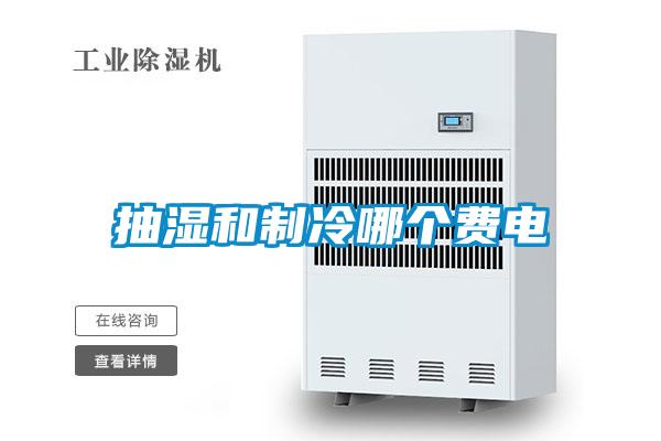欧美黄色电影在线播放 抽湿和制冷哪个费电