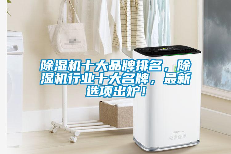 欧美黄色电影在线播放 除湿机十大品牌排名，除湿机行业十大名牌，最新选项出炉！