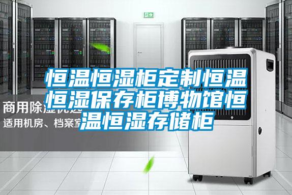 欧美黄色性爱视频网站 恒温恒湿柜定制恒温恒湿保存柜博物馆恒温恒湿存储柜