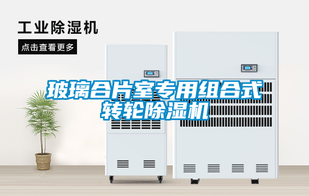 欧美黄色性爱视频网站 玻璃合片室专用组合式转轮除湿机