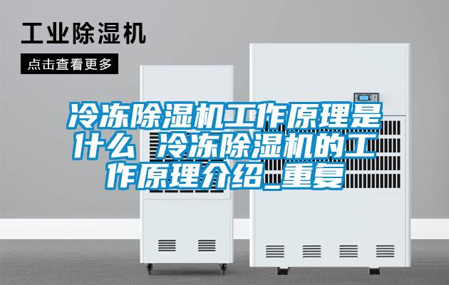 欧美黄色电影在线播放 冷冻除湿机工作原理是什么 冷冻除湿机的工作原理介绍_重复