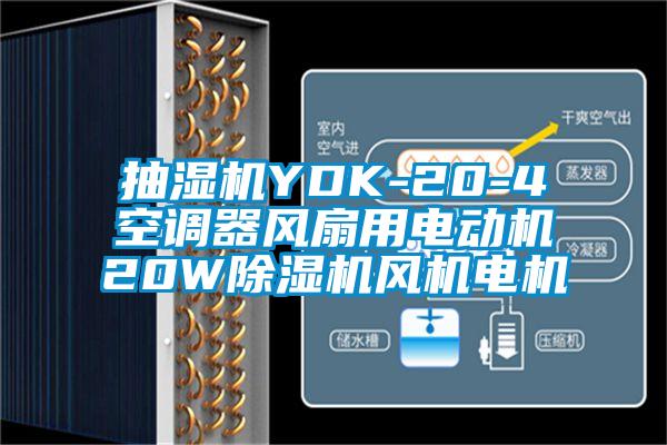 欧美黄色性爱视频网站 抽湿机YDK-20-4空调器风扇用电动机20W除湿机风机电机