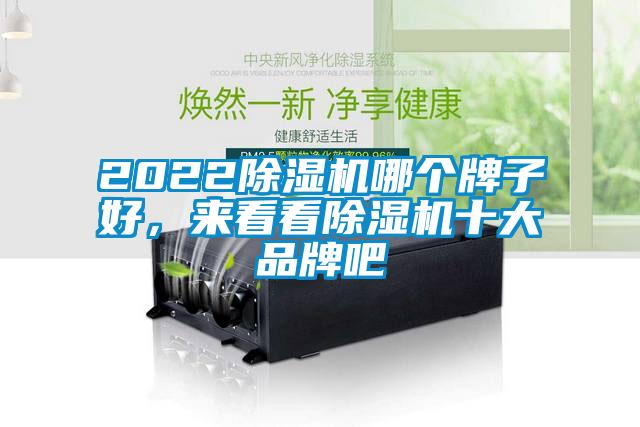 欧美成色手机在线观看 2022除湿机哪个牌子好，来看看除湿机十大品牌吧
