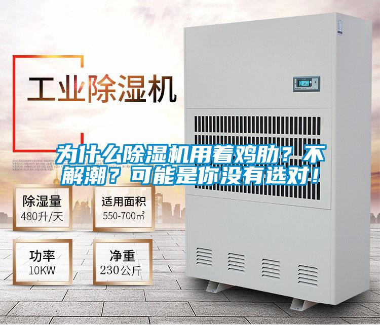 欧美成色手机在线观看 为什么除湿机用着鸡肋？不解潮？可能是你没有选对！