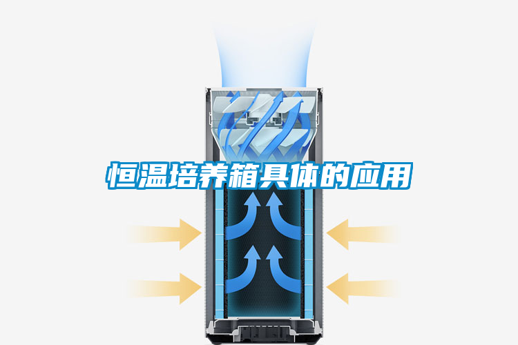 欧美黄色性爱视频网站 恒温培养箱具体的应用