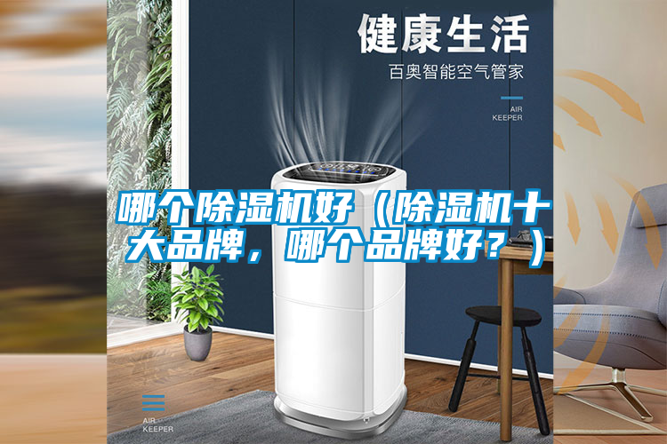欧美黄色电影在线播放 哪个除湿机好（除湿机十大品牌，哪个品牌好？）