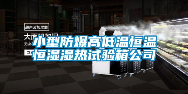 欧美成色手机在线观看 小型防爆高低温恒温恒湿湿热试验箱公司