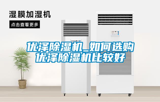 欧美成色手机在线观看 优泽除湿机_如何选购优泽除湿机比较好