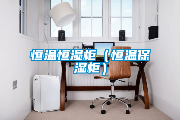 欧美黄色电影在线播放 恒温恒湿柜（恒温保湿柜）