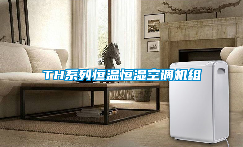 欧美成色手机在线观看 TH系列恒温恒湿空调机组