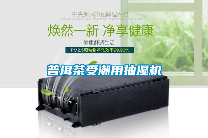 欧美黄色电影在线播放 普洱茶受潮用抽湿机