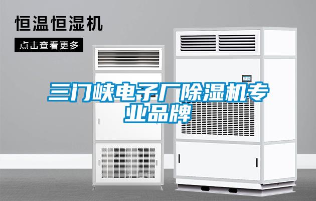 欧美黄色电影在线播放 三门峡电子厂除湿机专业品牌