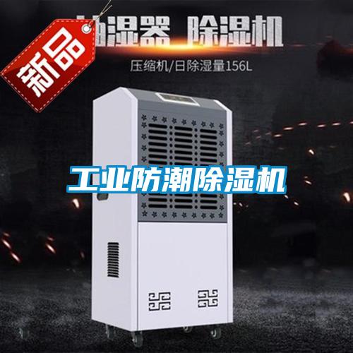 欧美黄色电影在线播放 工业防潮除湿机