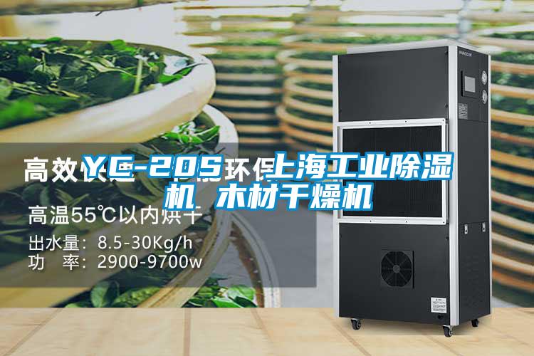 欧美黄色电影在线播放 YC-20S  上海工业除湿机 木材干燥机