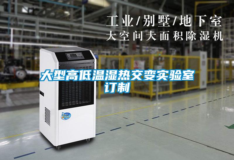 欧美黄色性爱视频网站 大型高低温湿热交变实验室订制