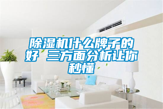 欧美黄色性爱视频网站 除湿机什么牌子的好 三方面分析让你秒懂