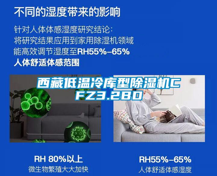 欧美黄色性爱视频网站 西藏低温冷库型除湿机CFZ3.2BD