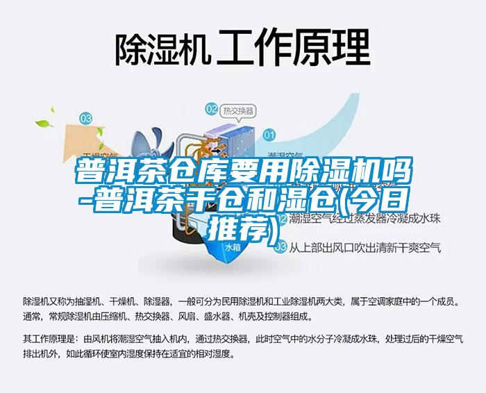 欧美黄色电影在线播放 普洱茶仓库要用除湿机吗-普洱茶干仓和湿仓(今日推荐)