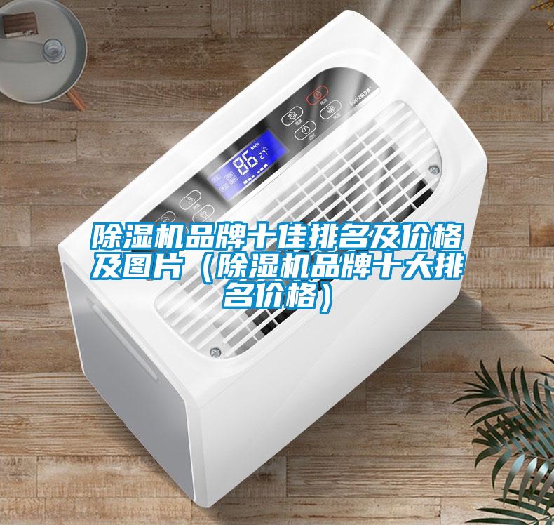 欧美成色手机在线观看 除湿机品牌十佳排名及价格及图片（除湿机品牌十大排名价格）
