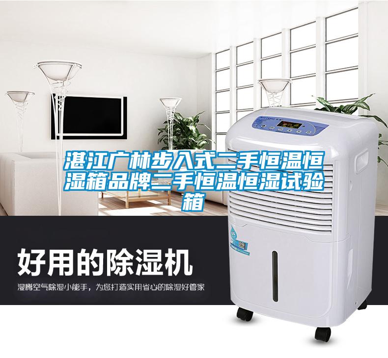欧美黄色电影在线播放 湛江广林步入式二手恒温恒湿箱品牌二手恒温恒湿试验箱