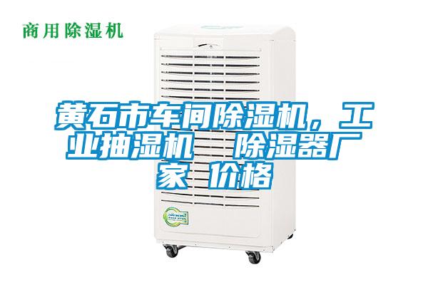 欧美黄色电影在线播放 黄石市车间除湿机，工业抽湿机  除湿器厂家 价格