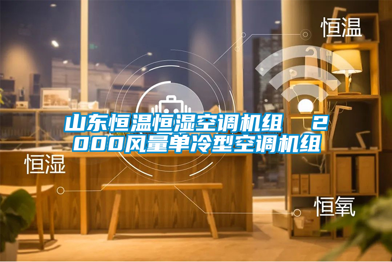 欧美黄色性爱视频网站 山东恒温恒湿空调机组  2000风量单冷型空调机组