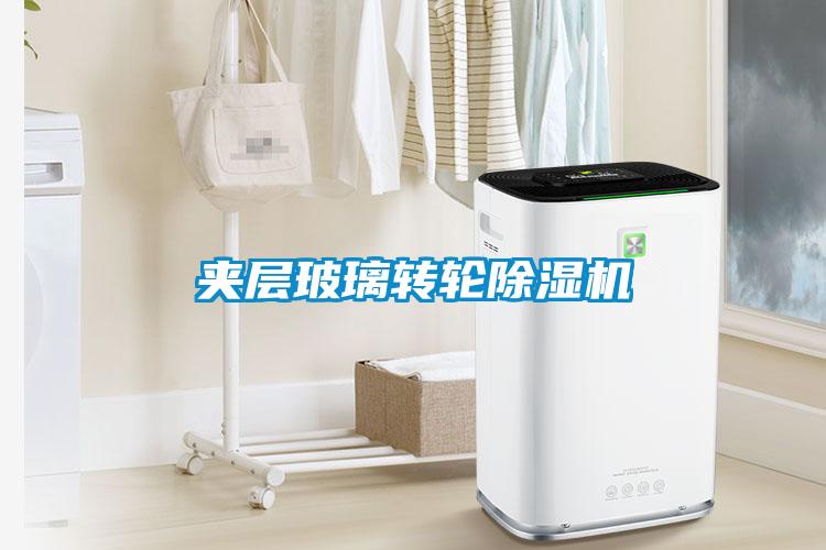 欧美黄色电影在线播放 夹层玻璃转轮除湿机