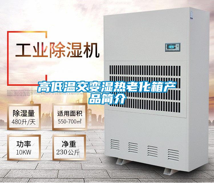 欧美黄色性爱视频网站 高低温交变湿热老化箱产品简介