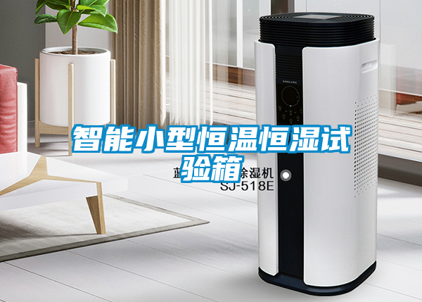 欧美黄色性爱视频网站 智能小型恒温恒湿试验箱
