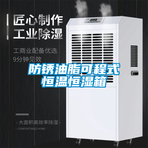 欧美黄色性爱视频网站 防锈油脂可程式恒温恒湿箱