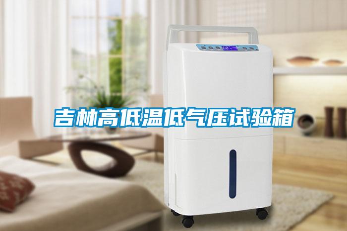 欧美成色手机在线观看 吉林高低温低气压试验箱