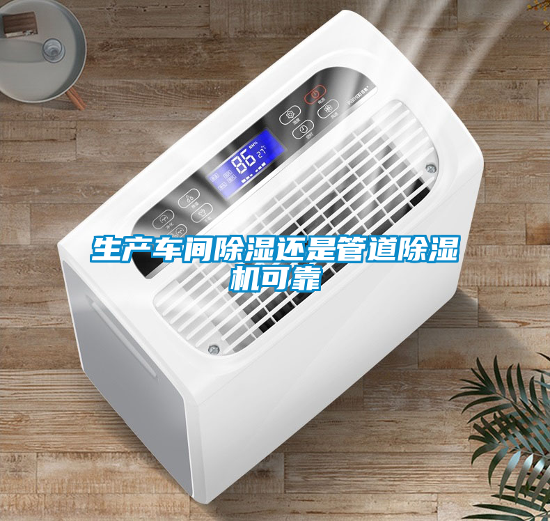 欧美成色手机在线观看 生产车间除湿还是管道除湿机可靠