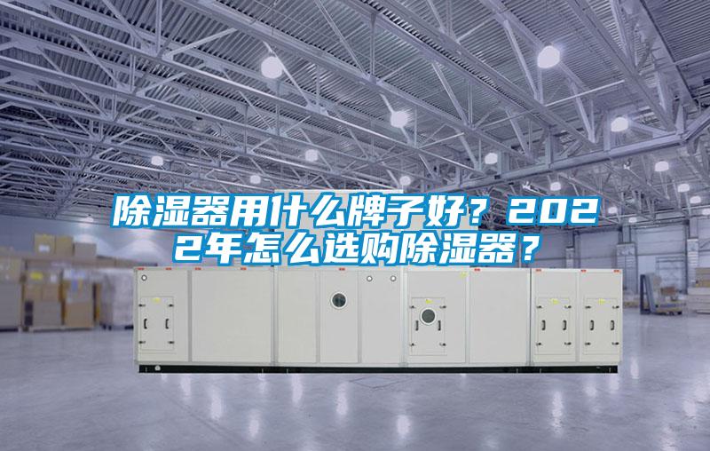 欧美黄色性爱视频网站 除湿器用什么牌子好？2022年怎么选购除湿器？