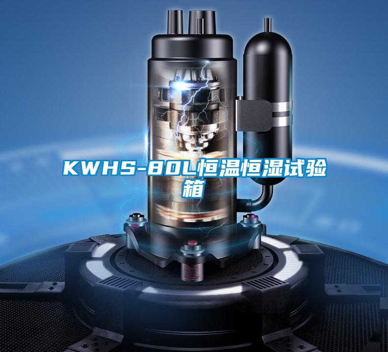 欧美黄色电影在线播放 KWHS-80L恒温恒湿试验箱