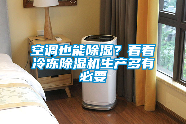 欧美成色手机在线观看 空调也能除湿？看看冷冻除湿机生产多有必要