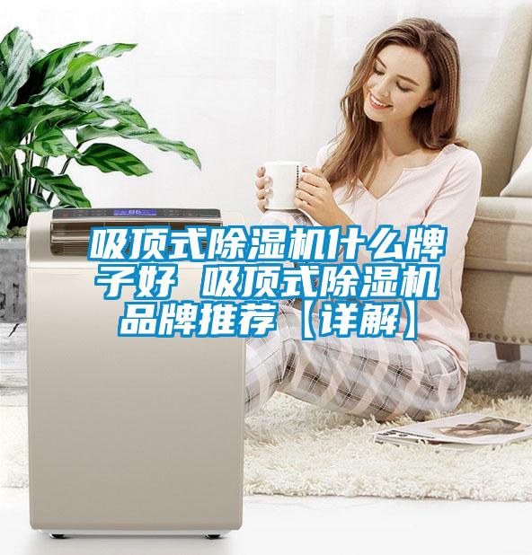 欧美黄色电影在线播放 吸顶式除湿机什么牌子好 吸顶式除湿机品牌推荐【详解】