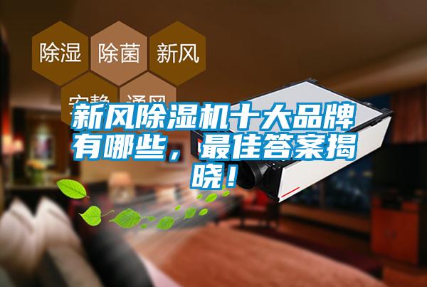 欧美黄色电影在线播放 新风除湿机十大品牌有哪些，最佳答案揭晓！