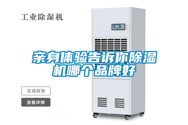 欧美黄色性爱视频网站 亲身体验告诉你除湿机哪个品牌好