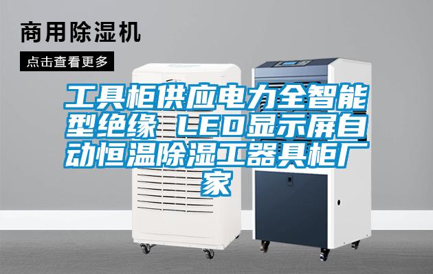 工具柜供应电力全智能型绝缘 LED显示屏自动恒温除湿工器具柜厂家