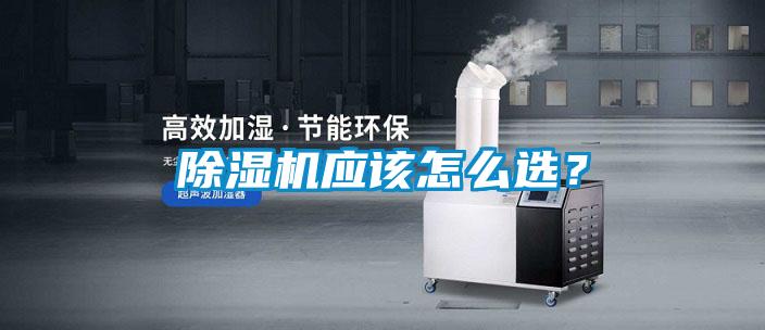 欧美黄色性爱视频网站 除湿机应该怎么选？
