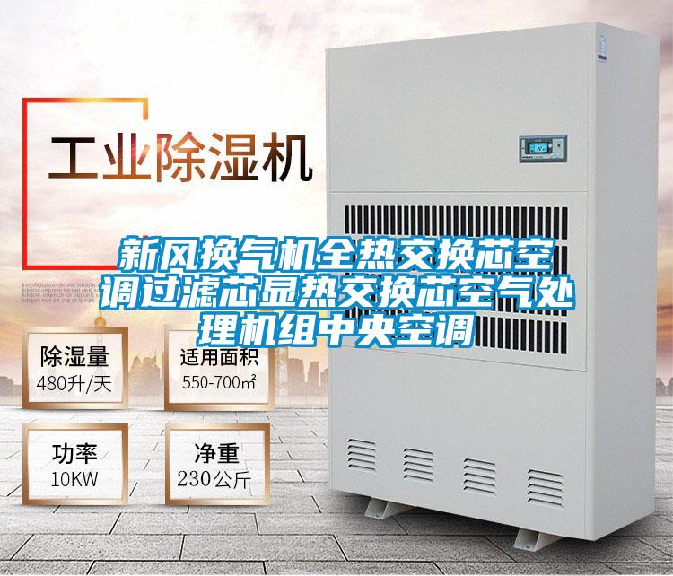 欧美黄色性爱视频网站 新风换气机全热交换芯空调过滤芯显热交换芯空气处理机组中央空调
