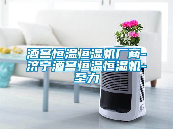 欧美黄色性爱视频网站 酒窖恒温恒湿机厂商-济宁酒窖恒温恒湿机-至力