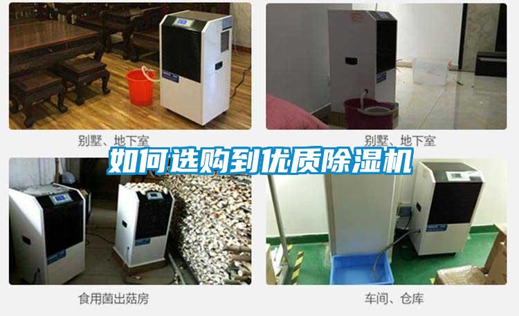 欧美黄色电影在线播放 如何选购到优质除湿机