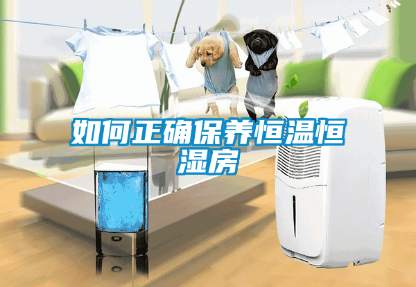 欧美黄色性爱视频网站 如何正确保养恒温恒湿房
