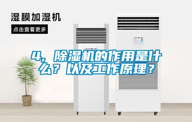 欧美黄色性爱视频网站 4, 除湿机的作用是什么？以及工作原理？