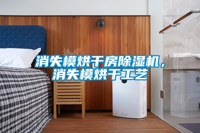 欧美黄色性爱视频网站 消失模烘干房除湿机，消失模烘干工艺