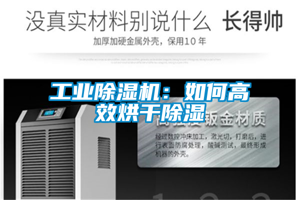 欧美黄色性爱视频网站 工业除湿机：如何高效烘干除湿