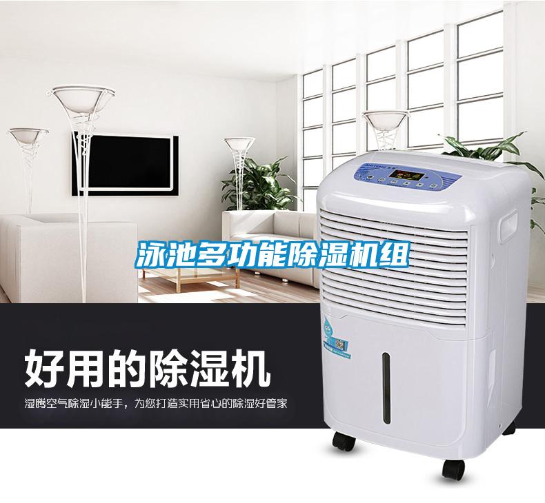 欧美黄色性爱视频网站 泳池多功能除湿机组